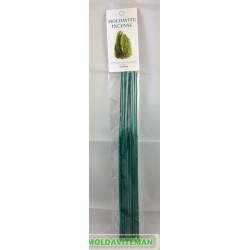 Moldavite Incense Stick